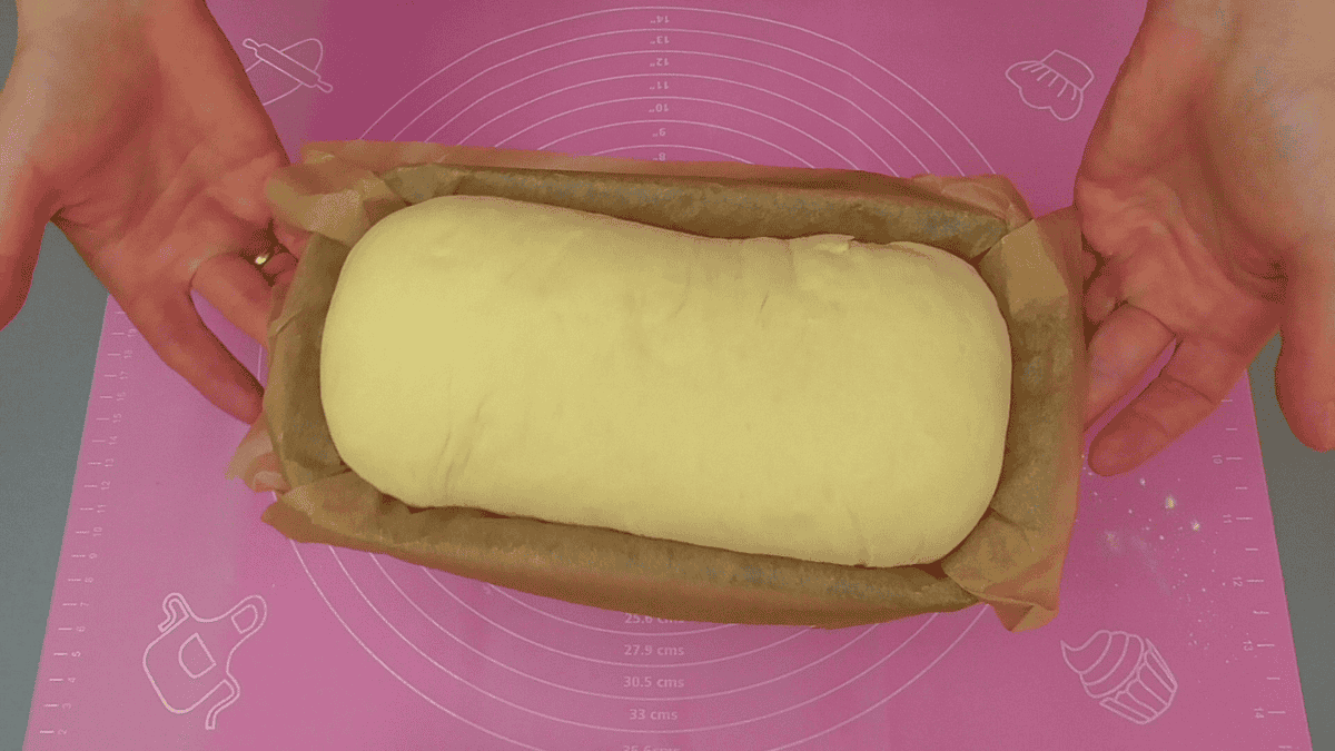 53599756bad427fcacf7aacebb1bc02b