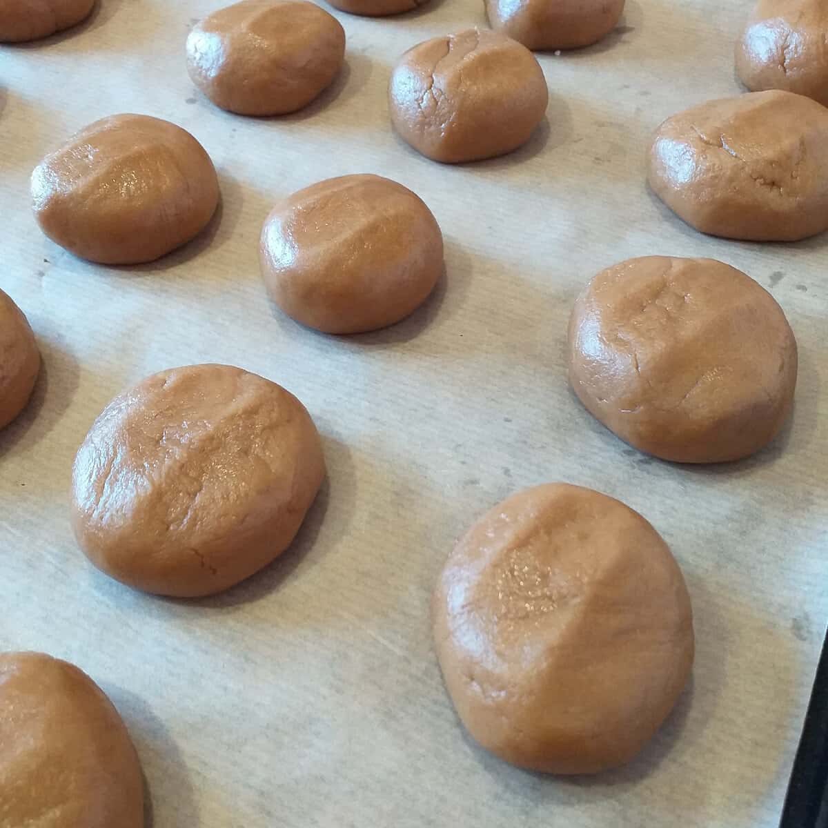 7f9020e056051ef6a1585f58f01b5714