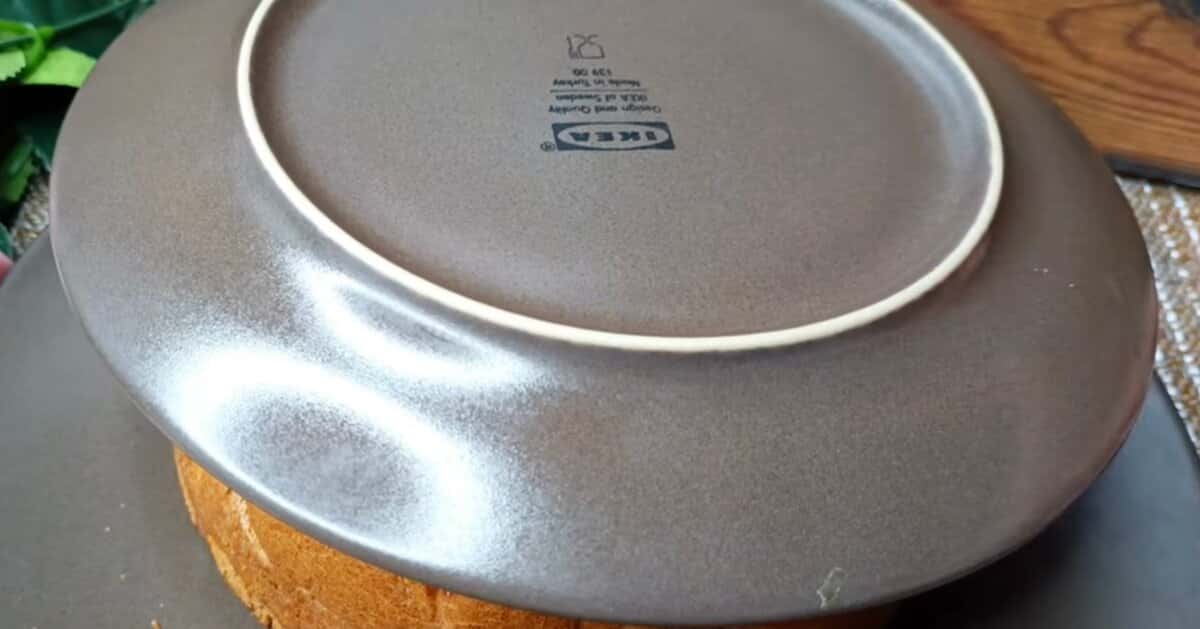 8c860cf86e46a6f3aa18c31d08509641