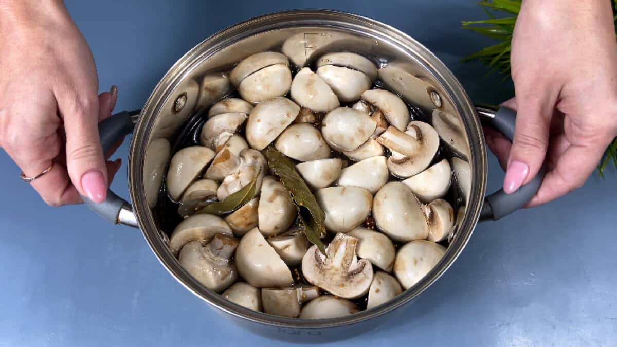 a33bc6fc51b14dc42c33d96ff1b4d404