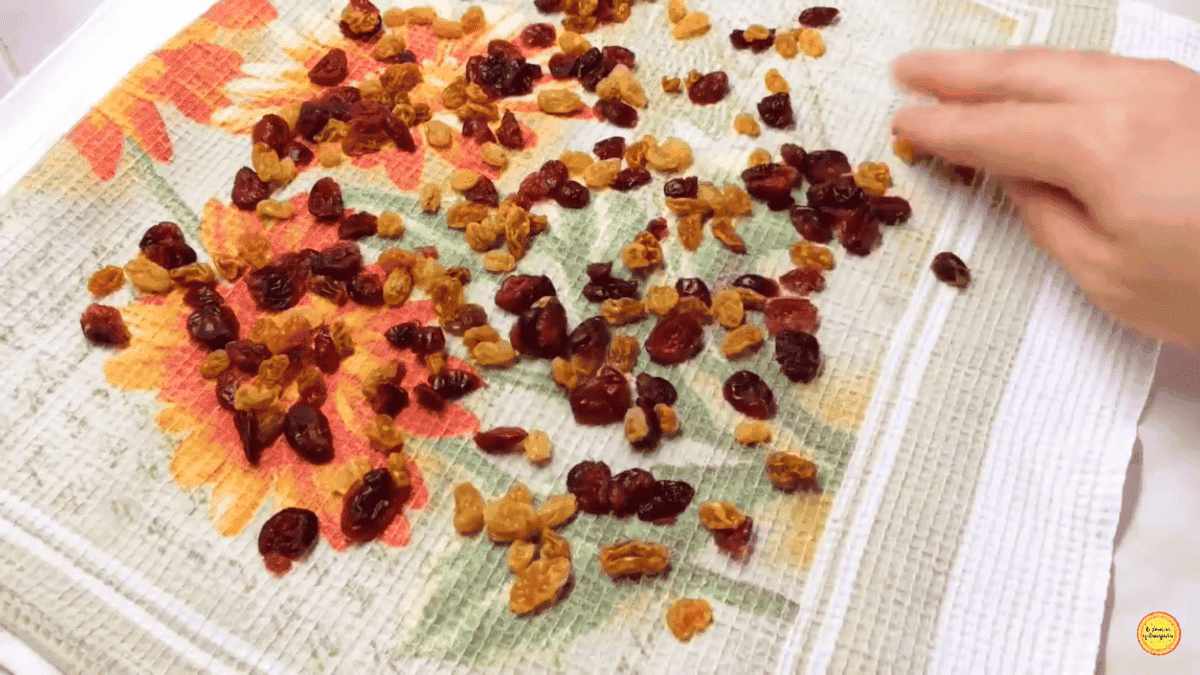 c5bceac14d22c5c9c135e767d11f26d5