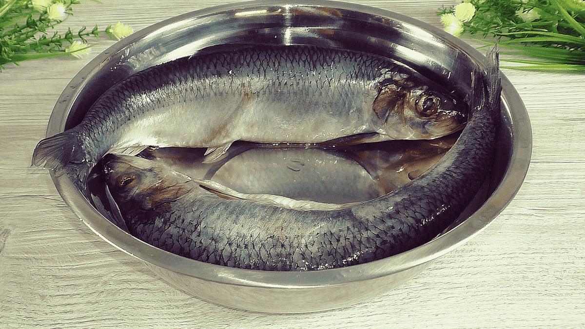 e9f6e2f6386ae57ca0d3048b656455ed