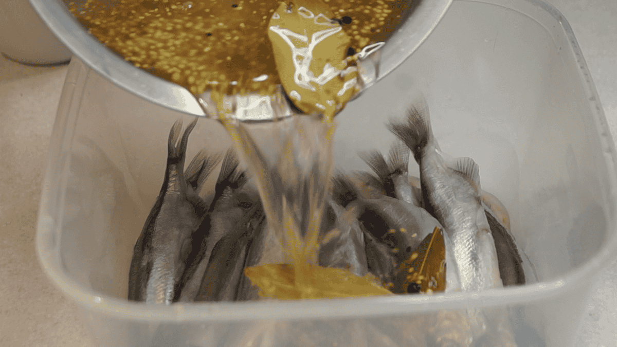 f41101b989532f8dfee72589896e0ef1