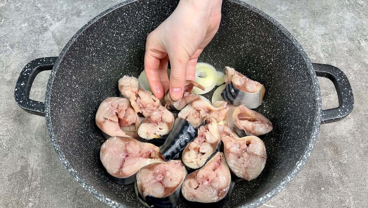 04cfcb3dc0c0efa41a49d00dc3eaf063