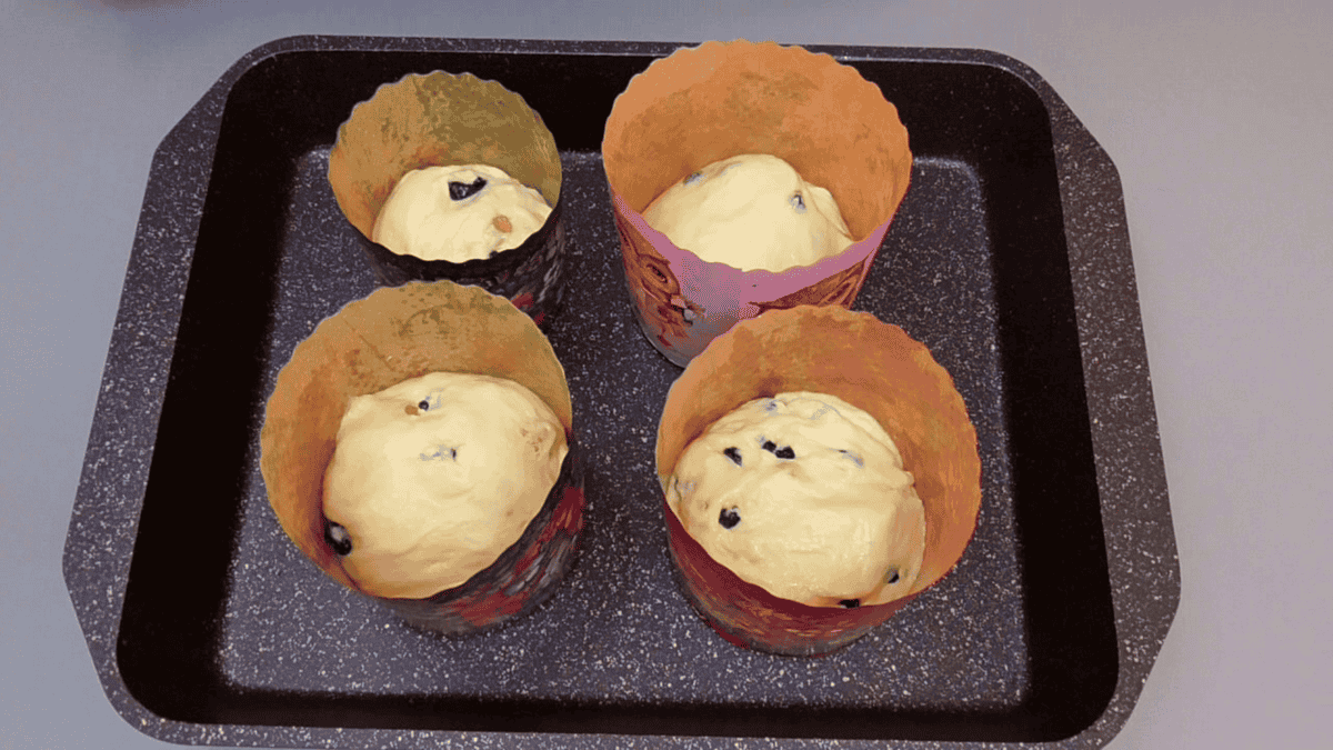 2616184fc6cd9b962a14485b99aa6ba2