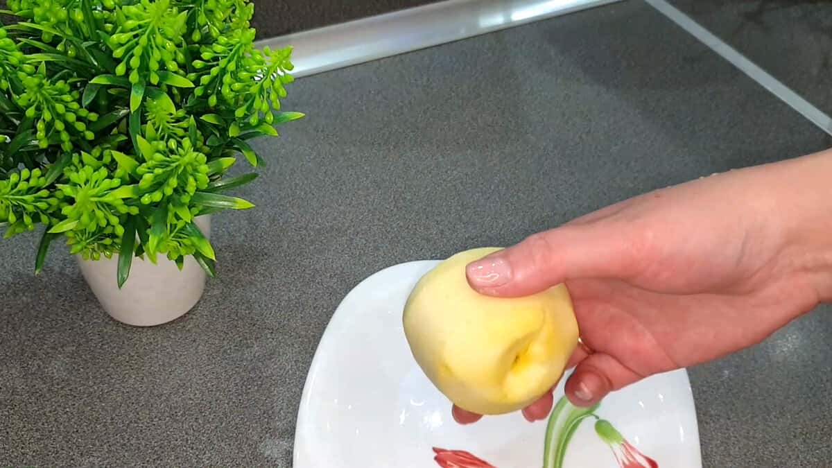 5005c44663c2c5e315b9cfbcf9ac9c1d