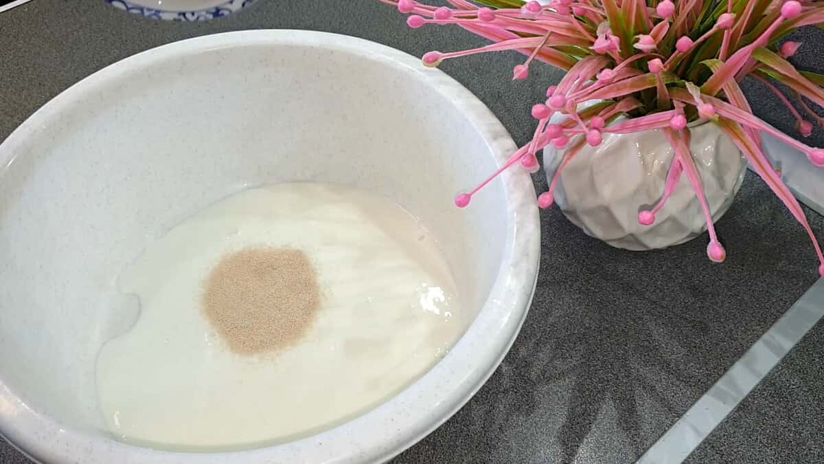 8267c45ae2d676890d31682b5695f0b7