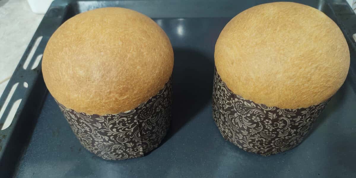 8295c7c0a130a7e0559bbe4eeec4200a