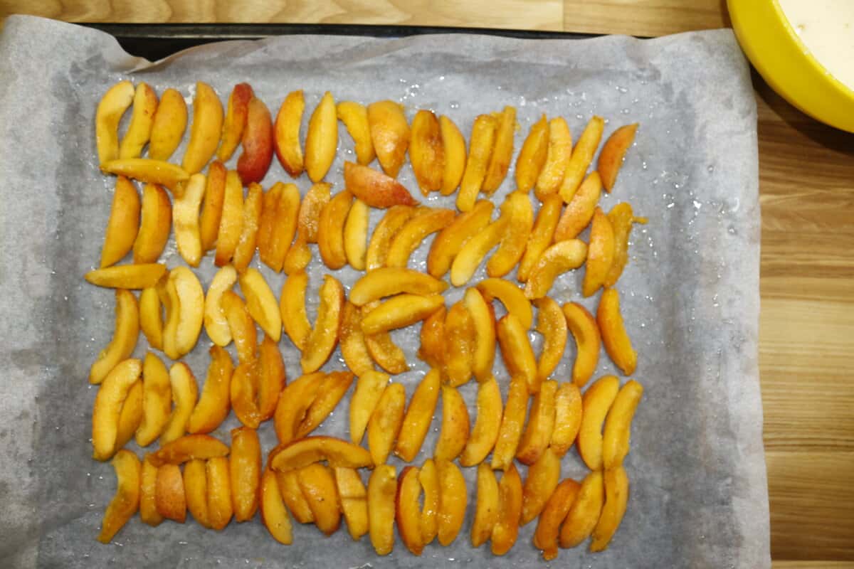 9b33c25b56c86d8b2512362730df0f74