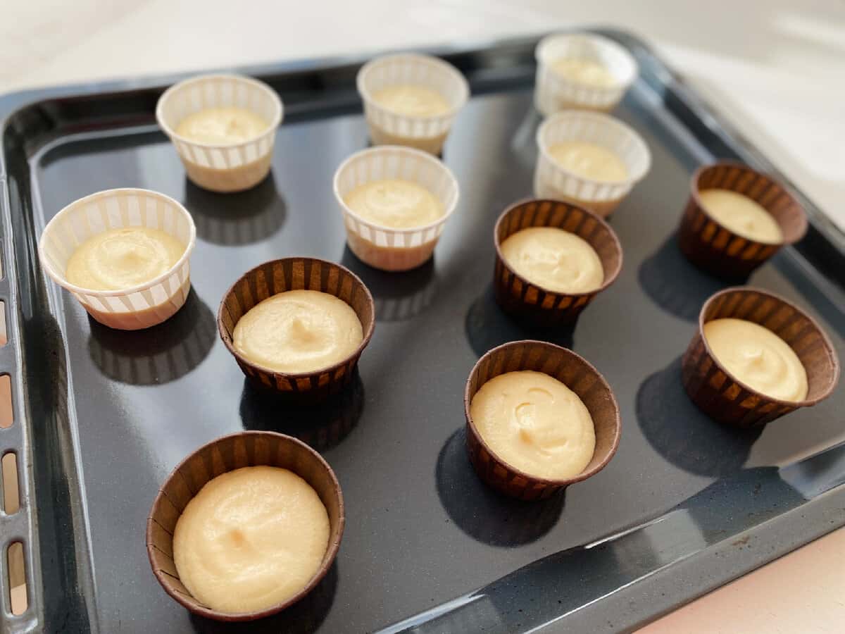 9c921b2d1911b4efd7159a9400cc36de