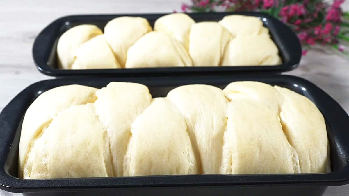 b32a75144be15d4d59c688c7c0b604cd