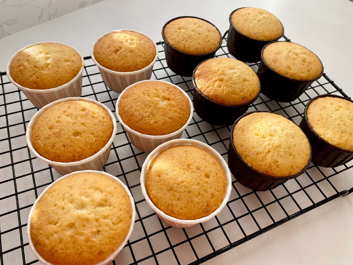 da9e70610f7a48b677dbf47e9f9c3aa2