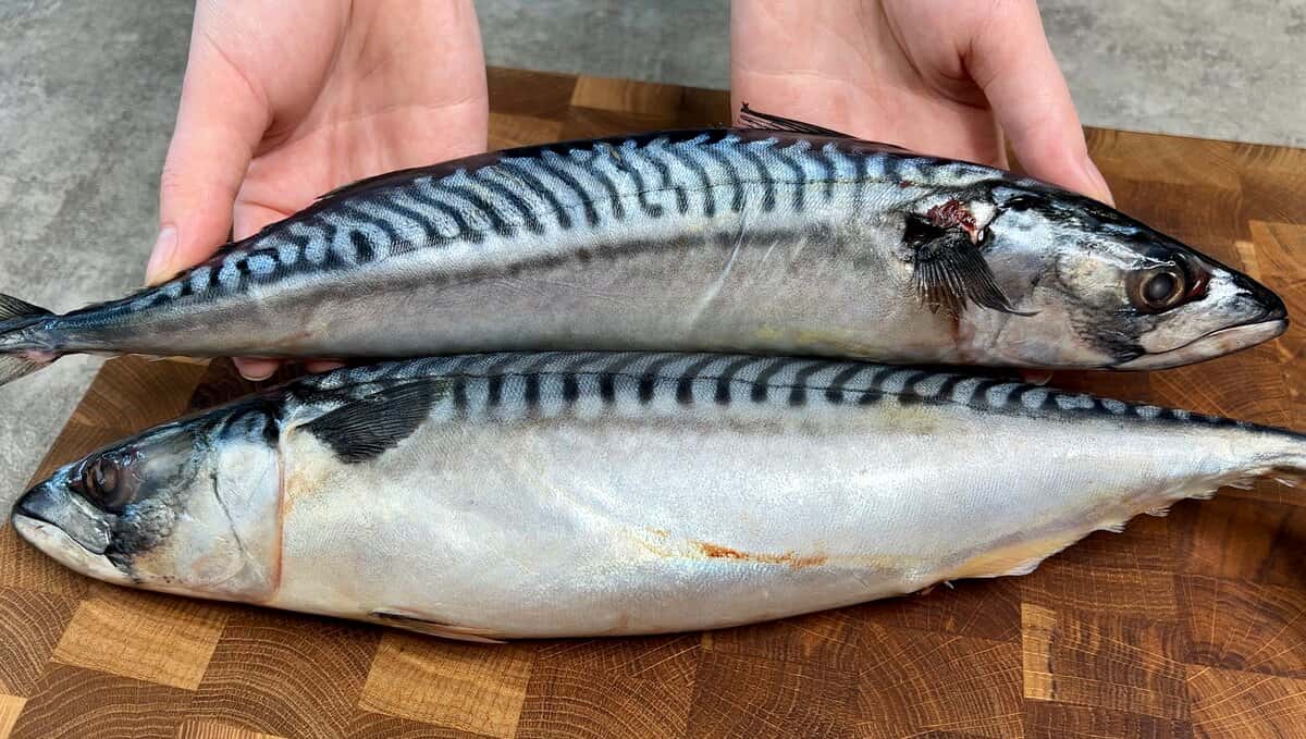 def4454720e1816f056e72efafd1e6ed