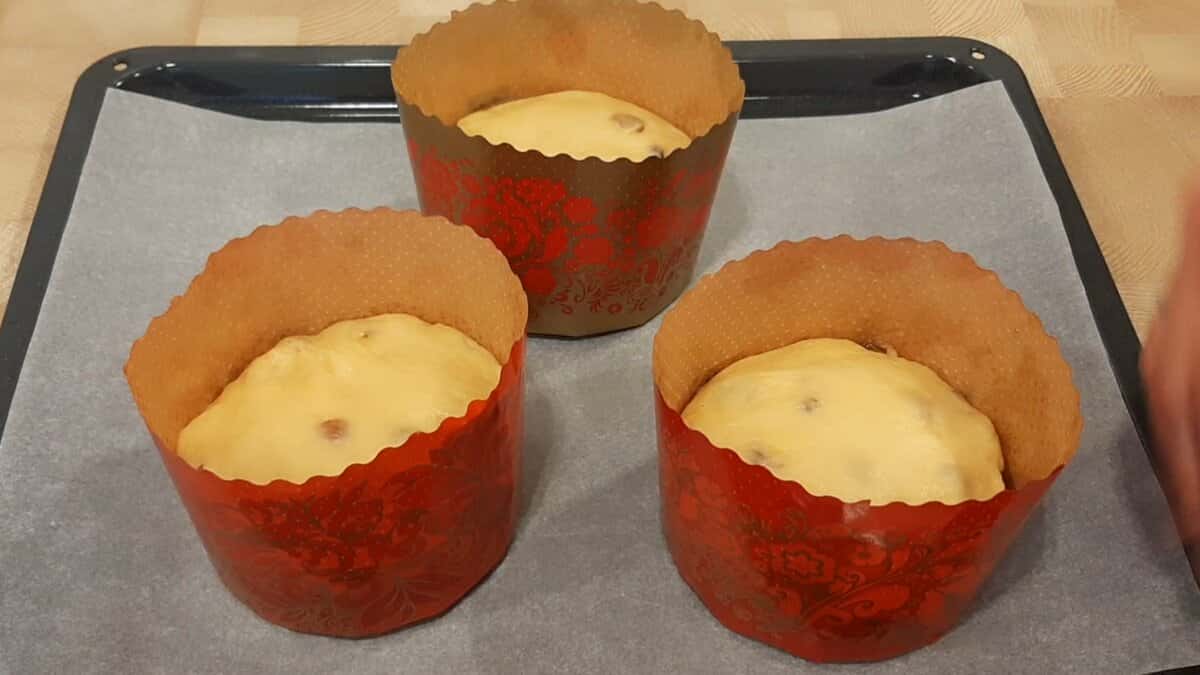 e0dd013bc902b1242415a08f69a4155d