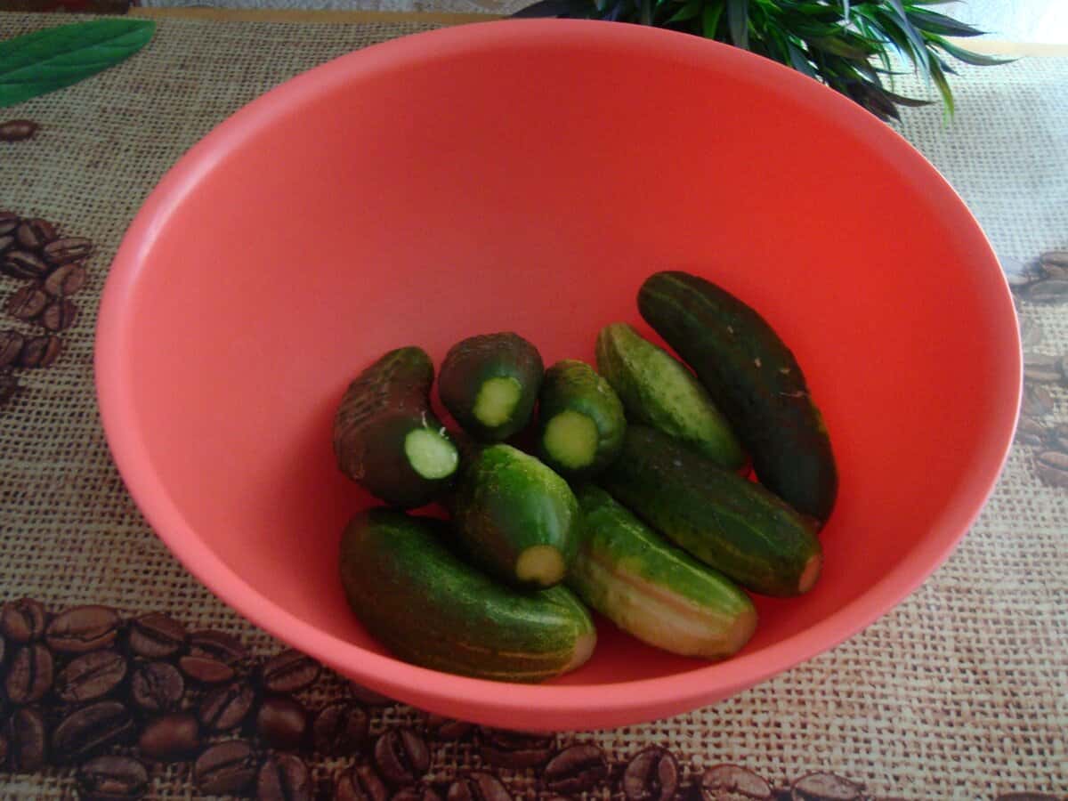 153f0cdc6ad1550ee0b4fbff744ea34c