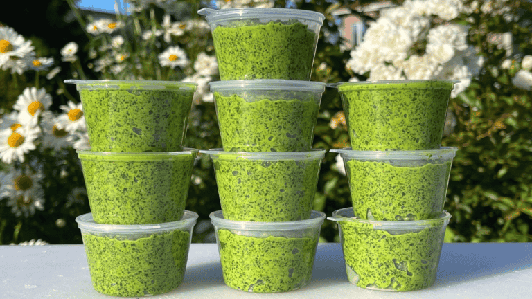 258386022801998a9cbc295e187722a3