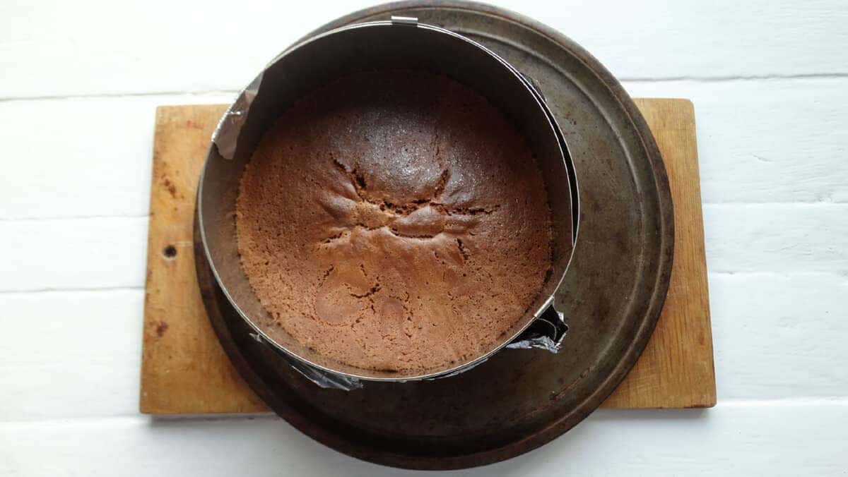 55525e4a58e5efcb37c61c4ddde1b834