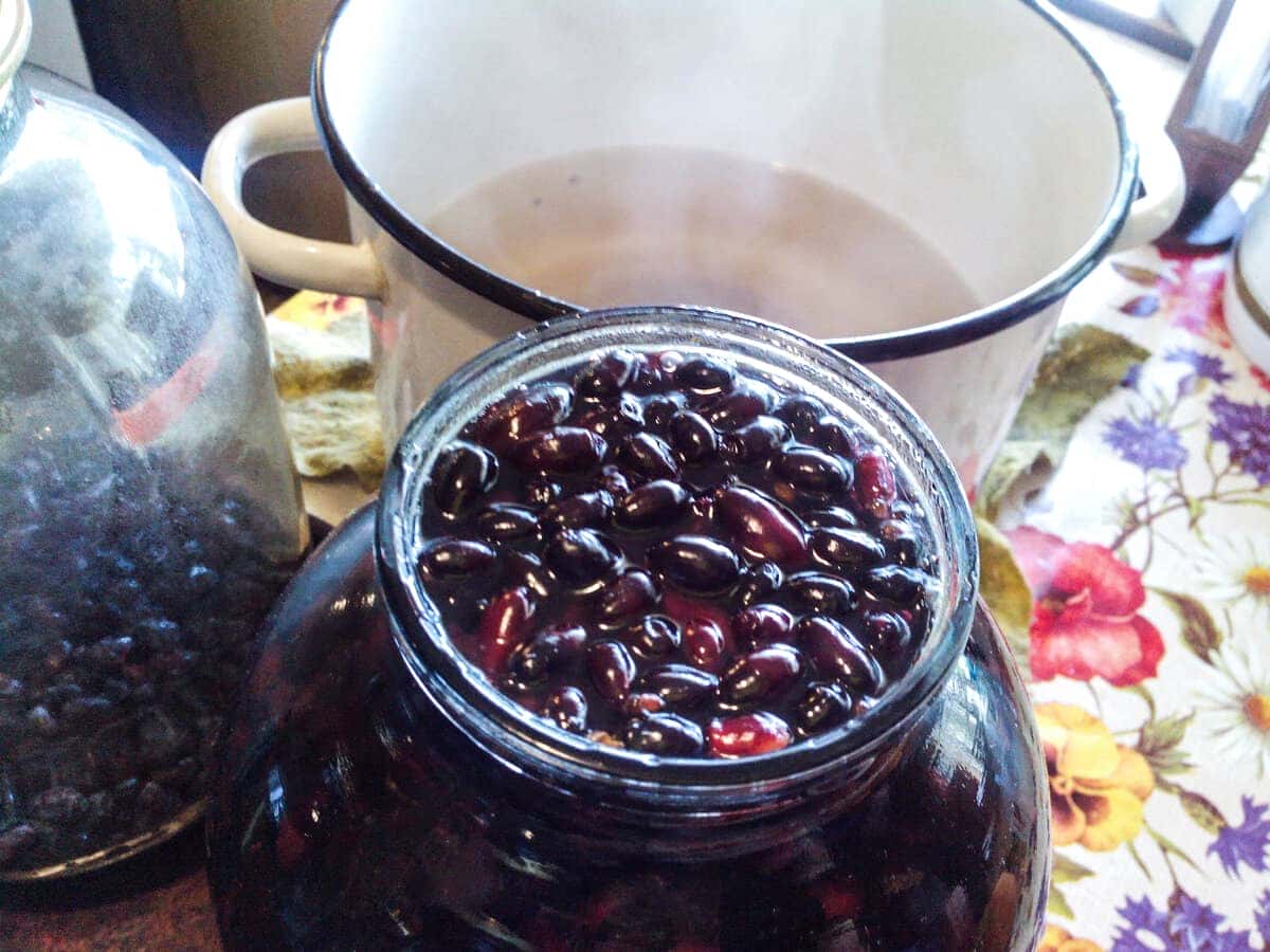 61769e9d3f07350630a5ad3d81eae51d