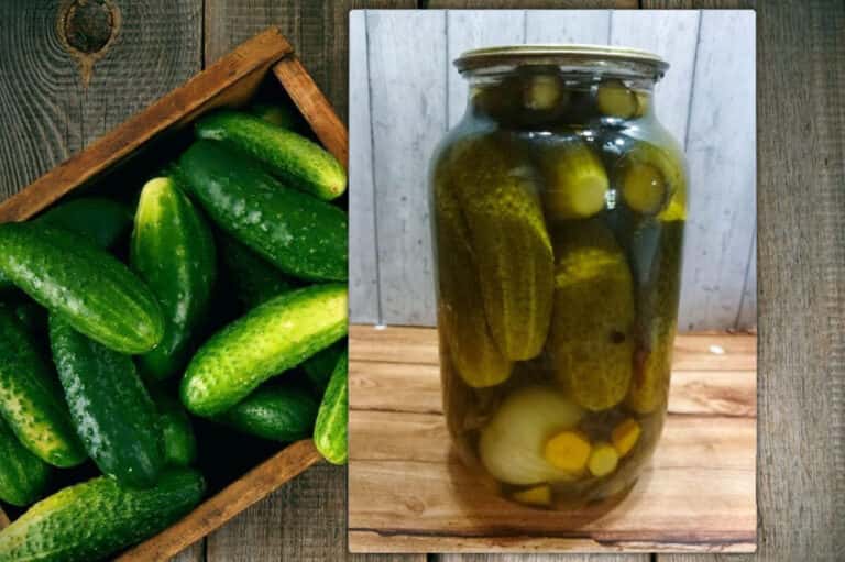 654ac11129aea61d41dca433234ac272