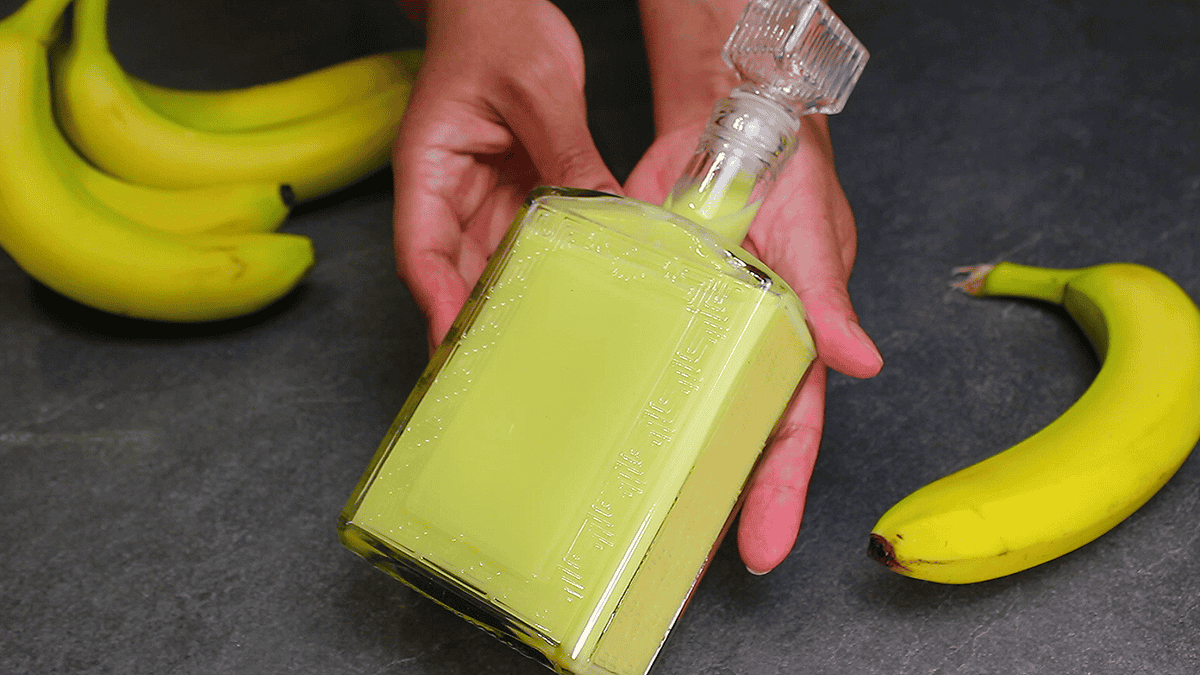 6a08c5d8354481253cff433d859be1f8