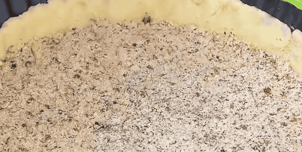 7a6d498a1ffc1a05daa6e9af783566e1