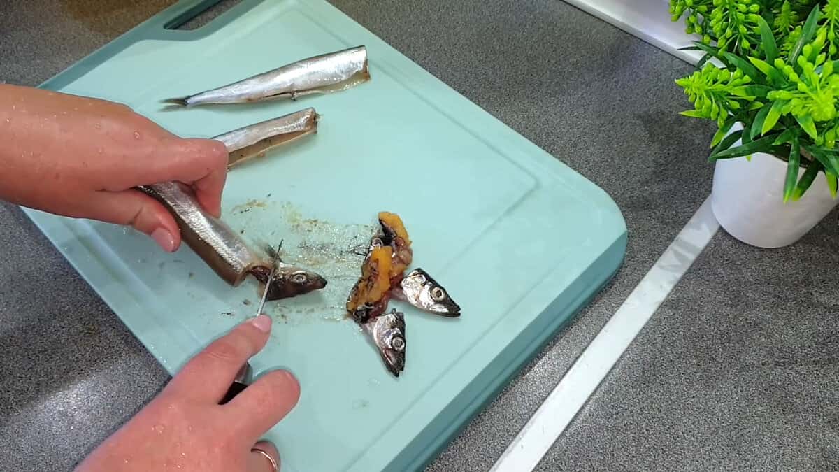 9505e28df0df5f9200263ae2f7959eeb