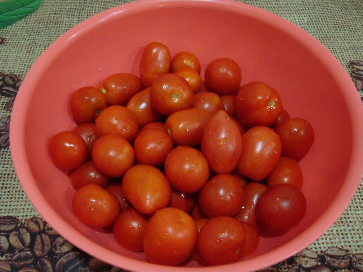 f88870c1ed8215e8b322fa9a82deba25