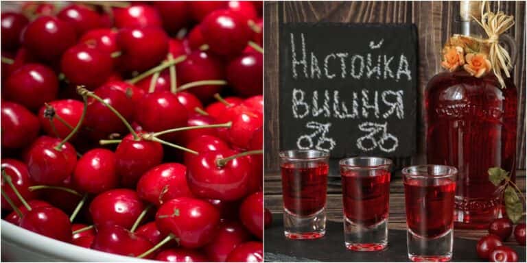 vyshneva nastoyka