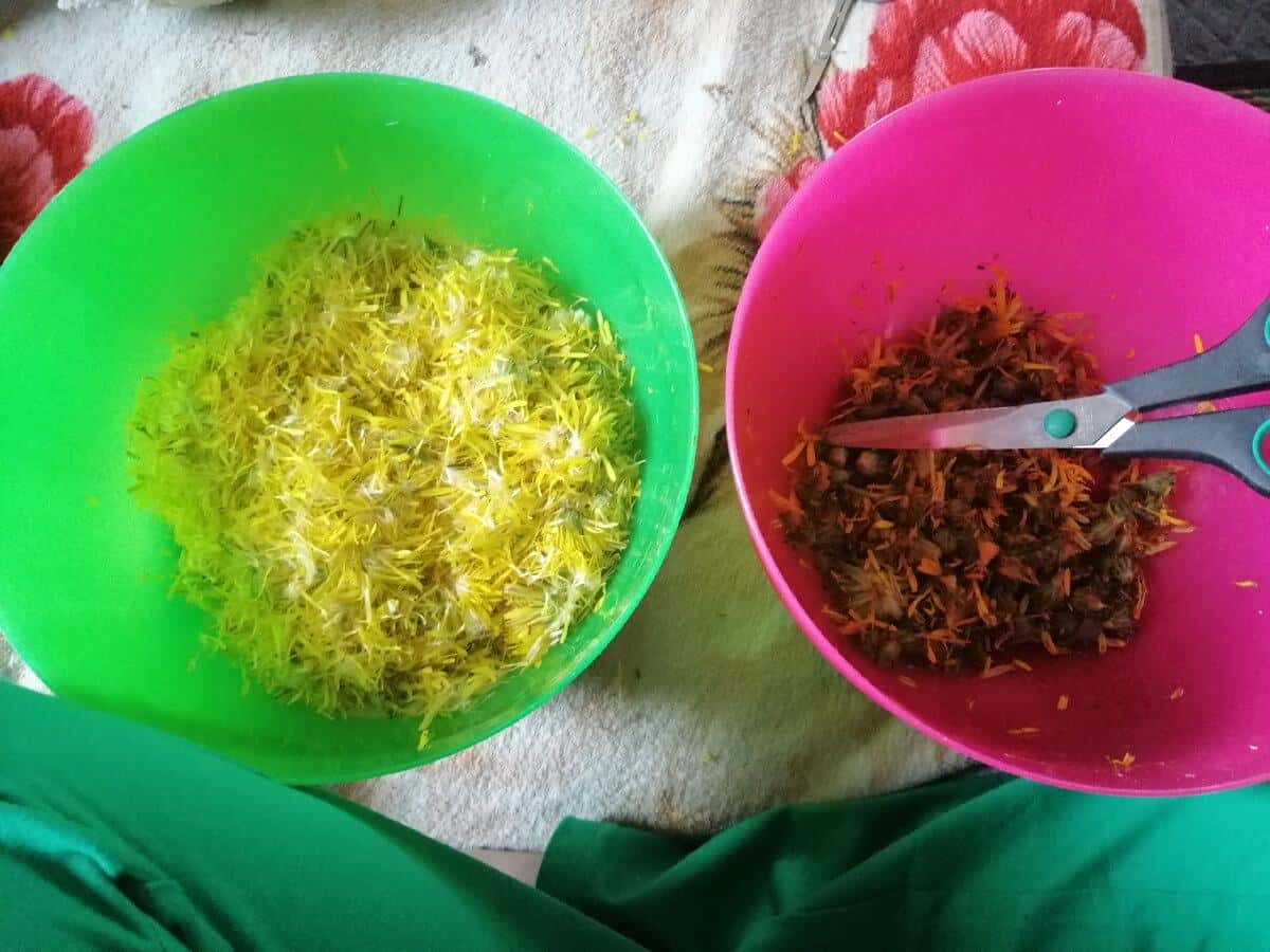 0159806b3953624be6de1cebef45fdbd