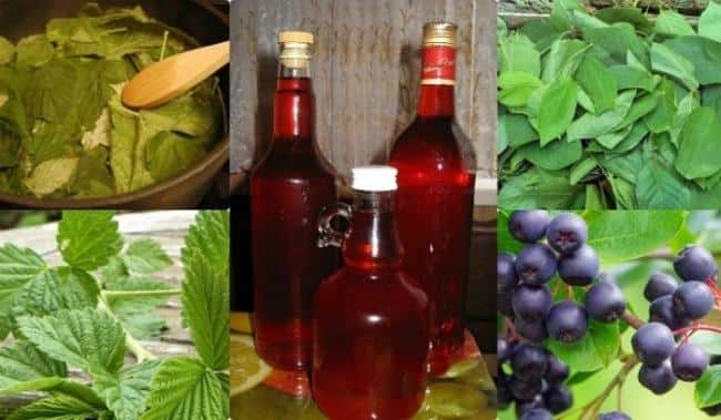 08ad32313dcd5bd5eda820a17ad354c3