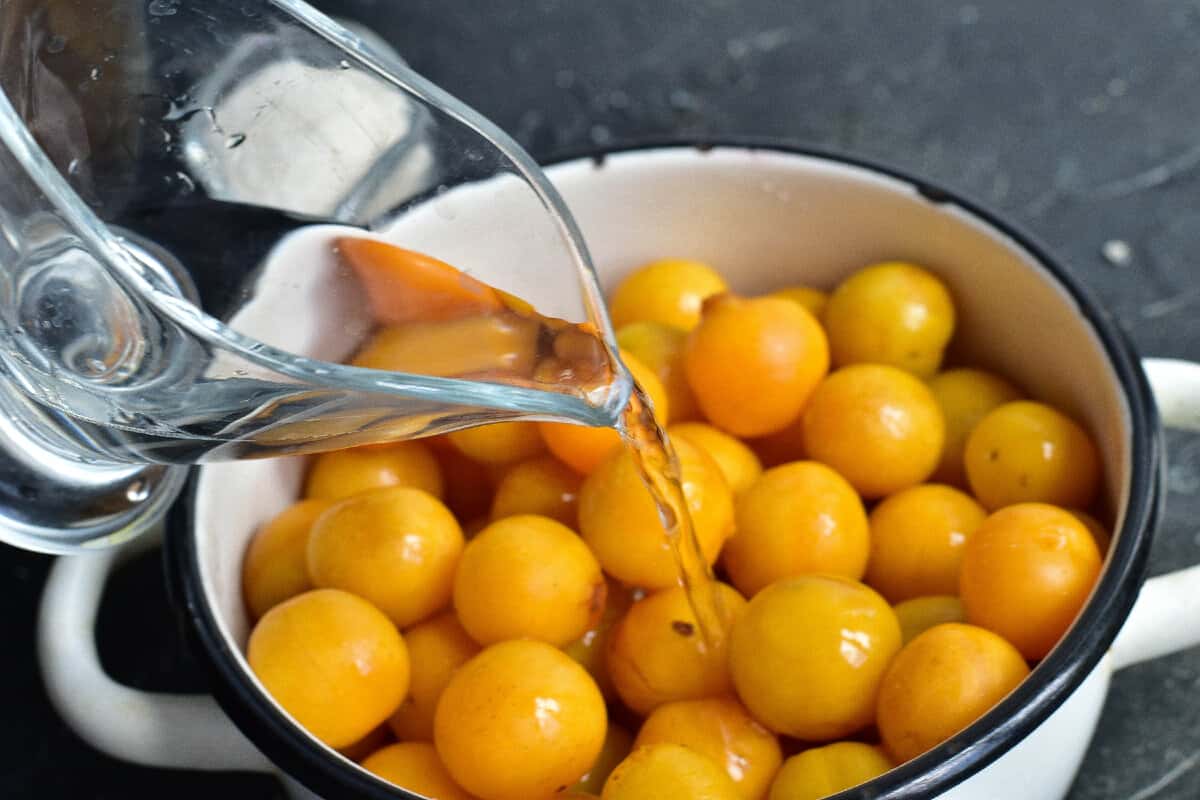 0d54c49e2a2daa12b9cdaf1cae7918c3