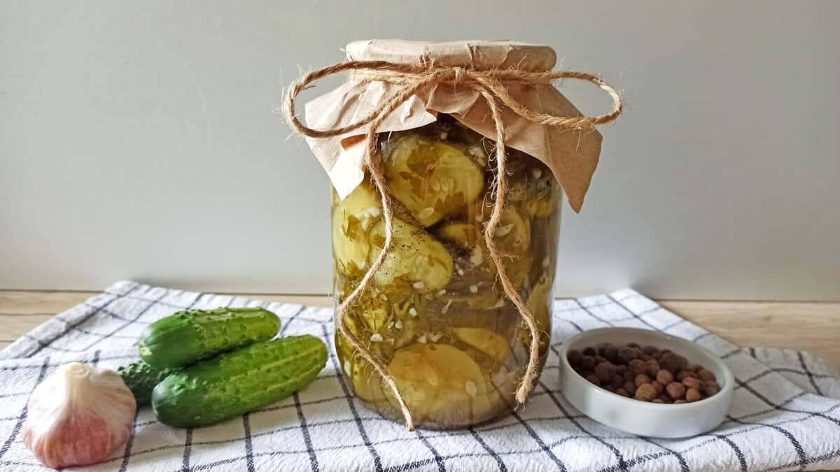 1763858919b63e95ab0c50c2ecb1ba01