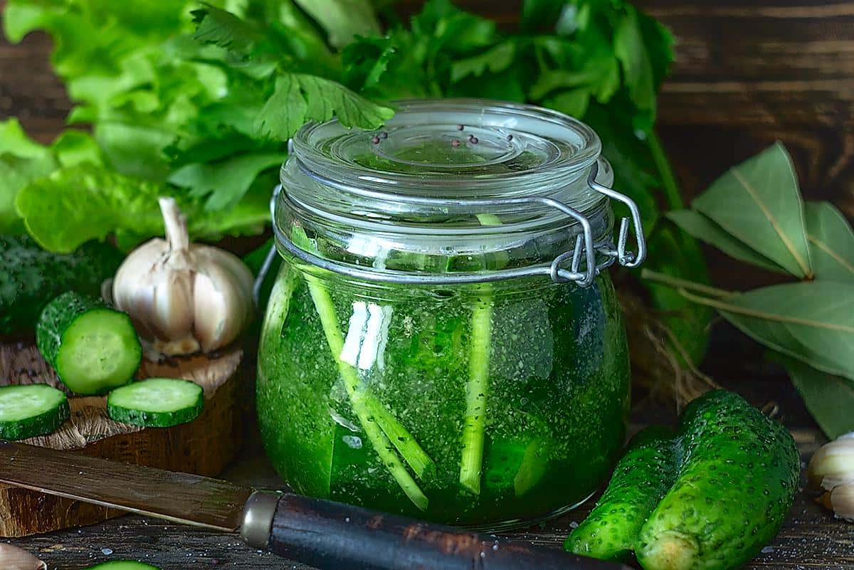 28e91fefd1ad25b5494444de22d93475