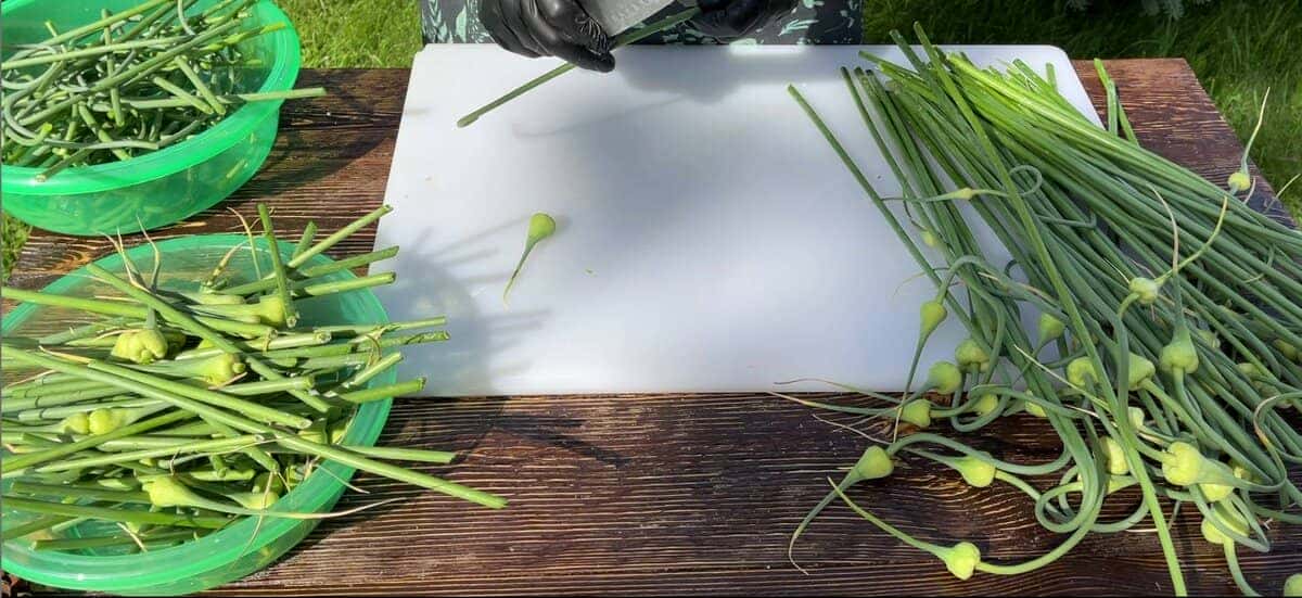 4d121c1ce6ddf687897ad40642fdf646