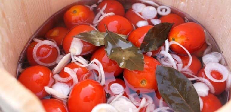 63616c2119b34ed0816fe39d265ff0b0