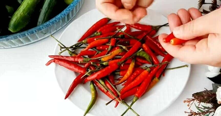 8f949392e7a70f2b54864f0fcdbc8d22