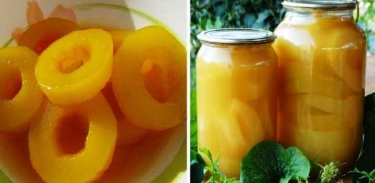 9146b673a800e75d905aca0c294c1635