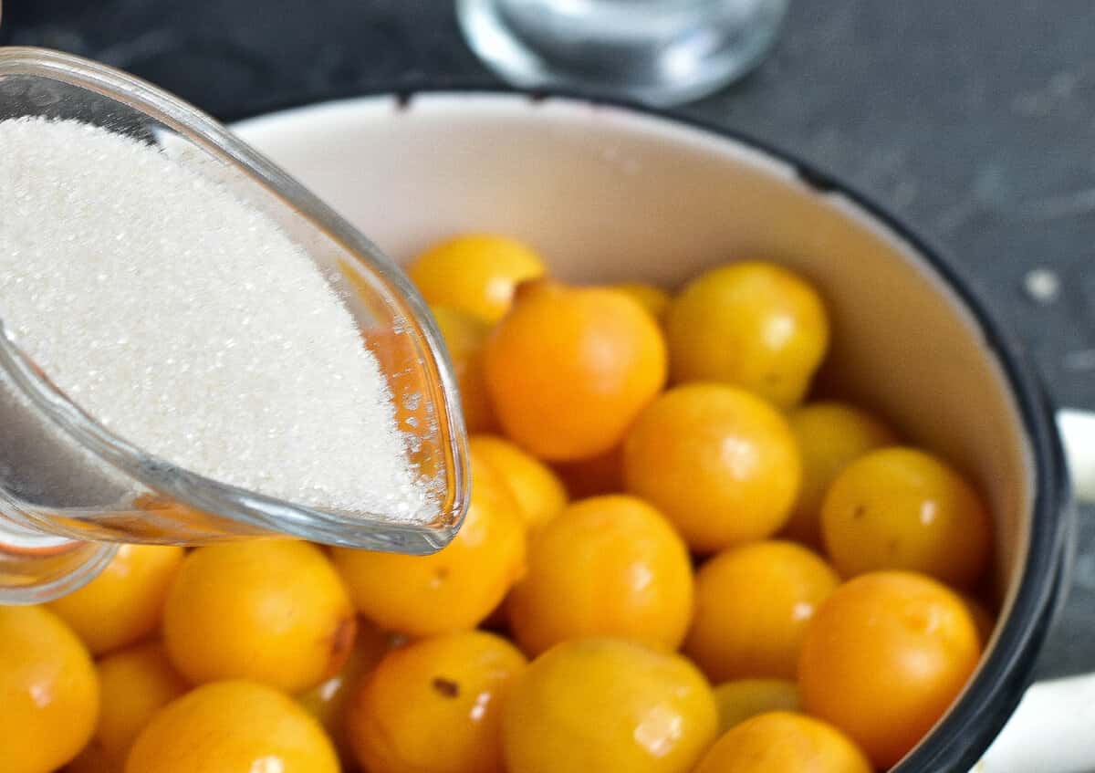 99b61442743492a2bac086cc36cd0513