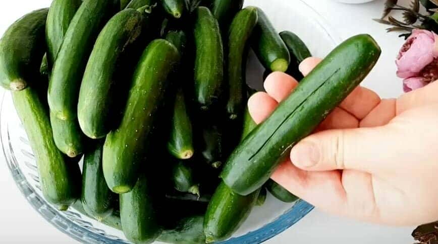 bba5ebcb801145a22b5945ed4c3b0c62