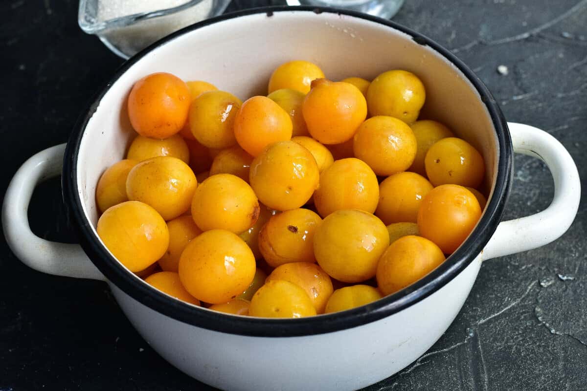 c0d8476eedb8e635167b53b9d9cc3c91