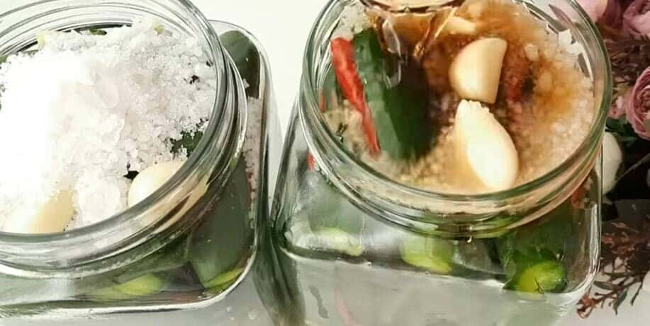 d8177d9dd44cdbc02dbb9b500ab5b246