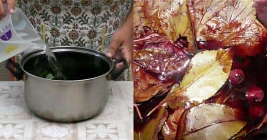 e7fa7a6c6681961297bc4a3150a87380