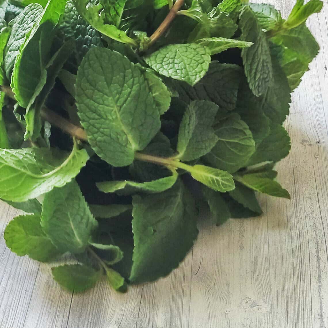 efe600fcc3074511dbbe39e22cc82bb2