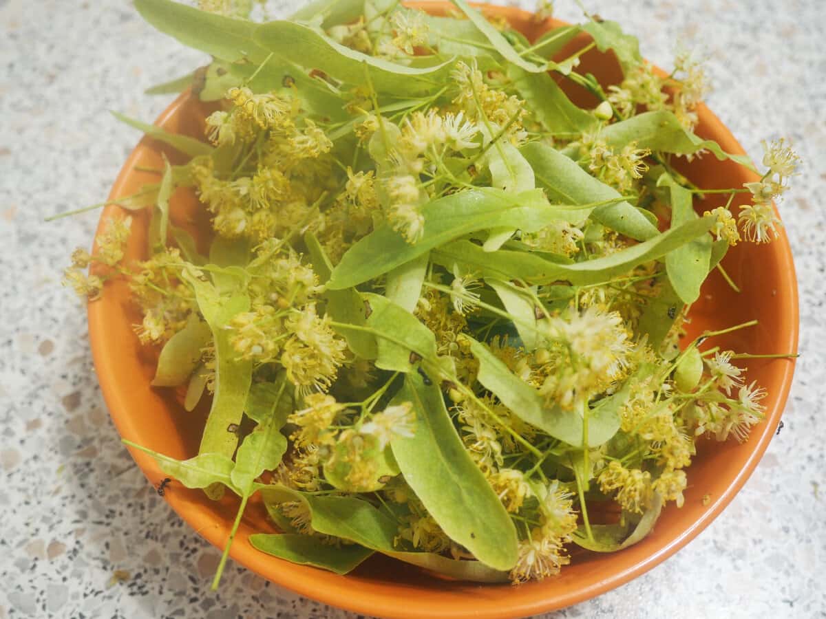 f0e2d5476005d9874cee1bdae199b54b