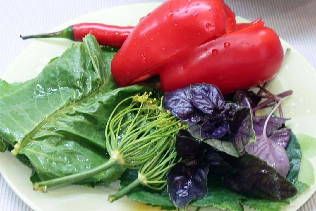 fcd97a78b5a032a8d0f44075c739fc79