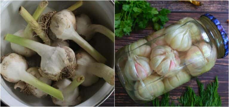 marynovanyy chasnyk na zymu 1