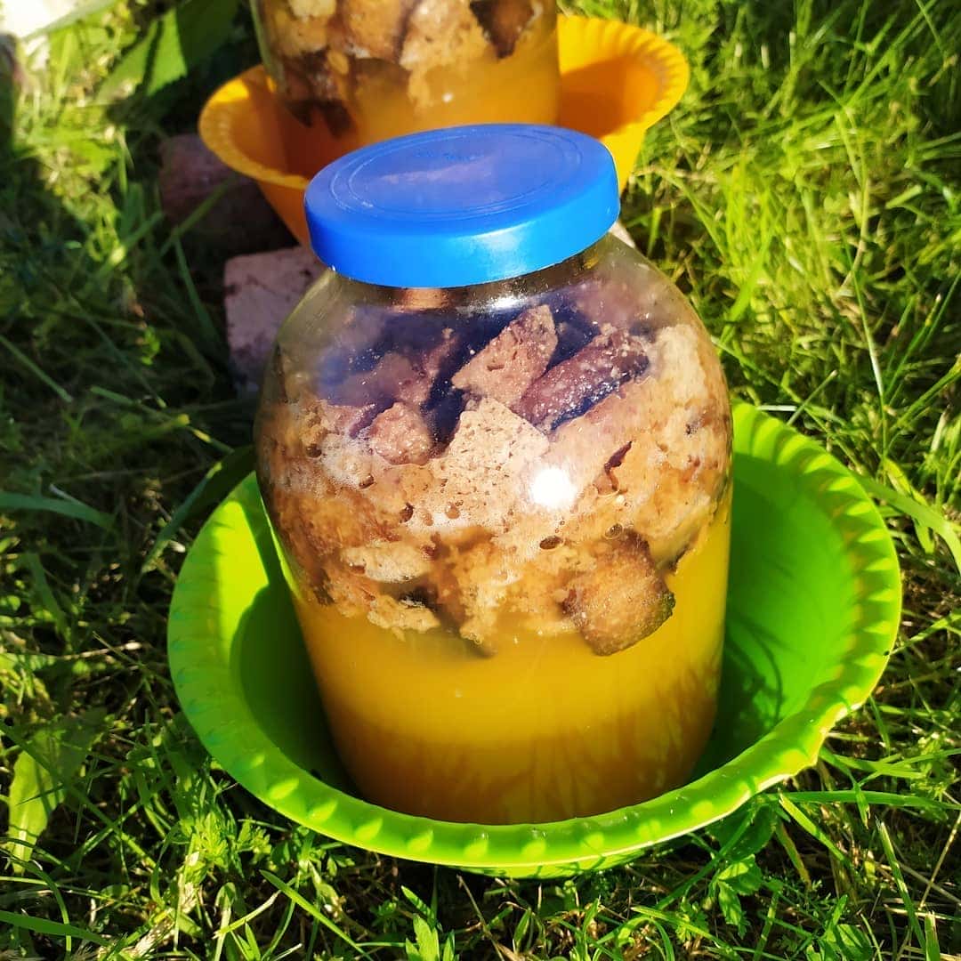 Хлібний газований квас в домашніх умовах: найпростіший рецепт улюбленого літнього напою