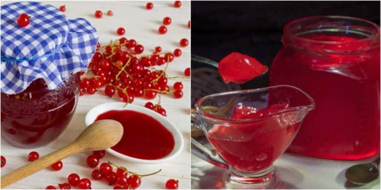 zhele z chervonoi smorodyny