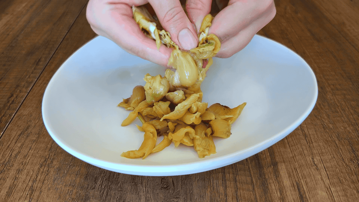 0d88a2ed45c98610cea3a3758b313513