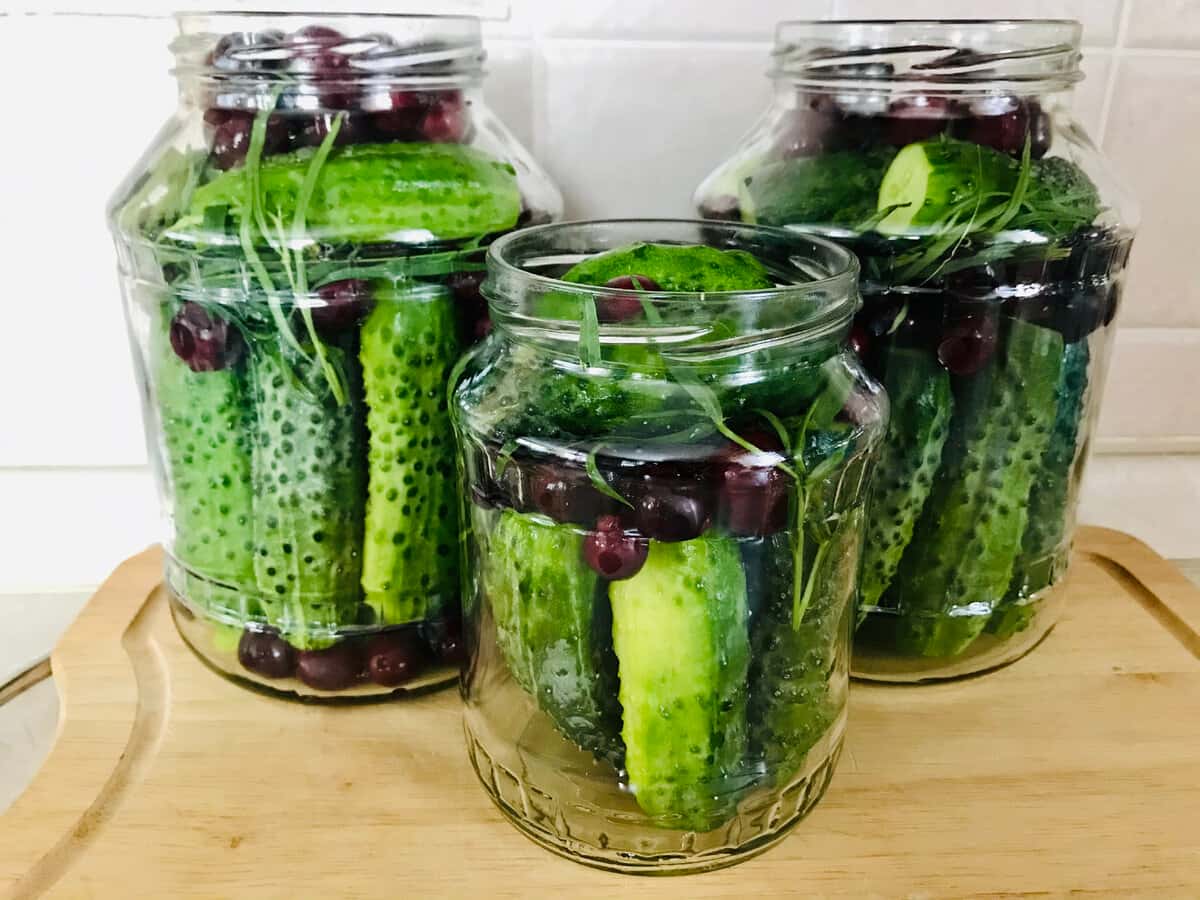 226332b0cf68c4cd3ea2aeb7c39c8c82